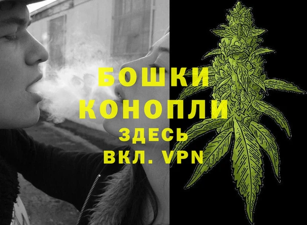 спиды Богородск