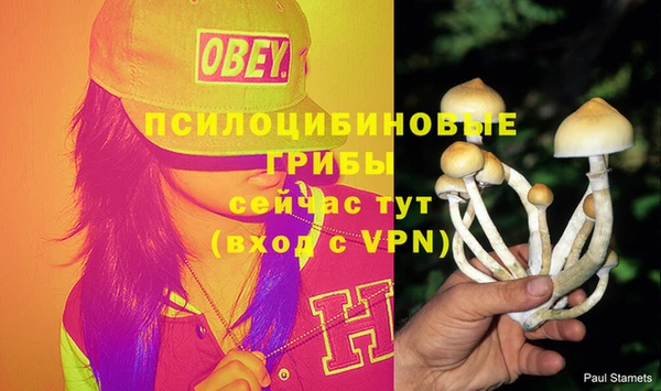 гашик Богородицк