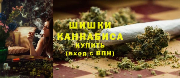 гашик Богородицк