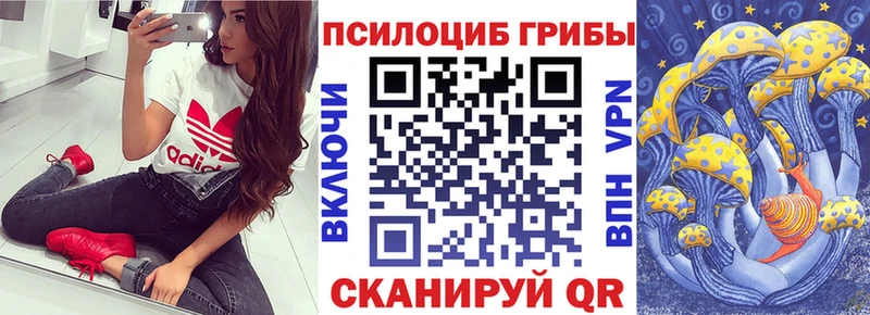 Галлюциногенные грибы Cubensis  Кировск 